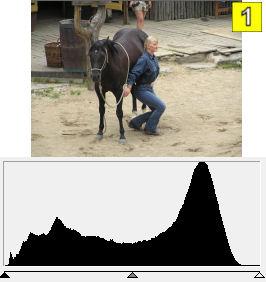 Vyrovnan histogram